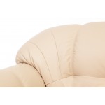 Rosa nahast tugitool