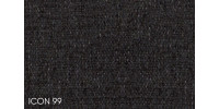 Icon_99